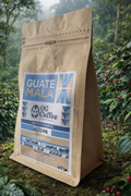 Guatemala Geisha Antigua specialty coffee